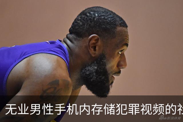 无业男性手机内存储犯罪视频的社会反思
