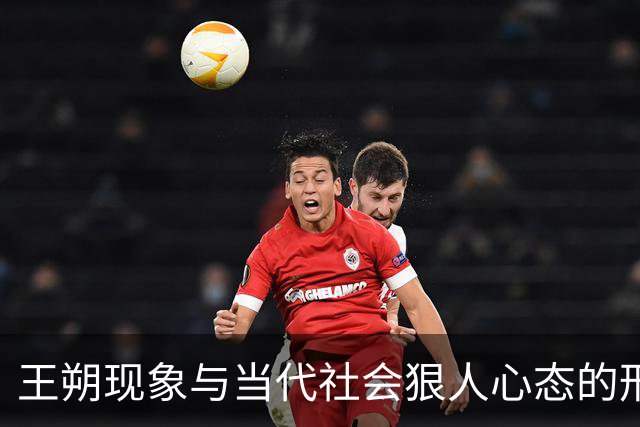 王朔现象与当代社会"狠人"心态的形成